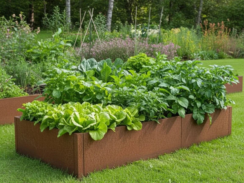 Cortenstahl Hochbeet CUBY 150 x 80 x 40 cm