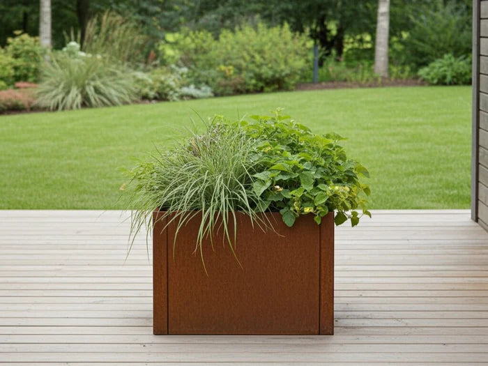 Hochbeet aus Cortenstahl CUBY. B60 x H 40 cm, mehrere Längen