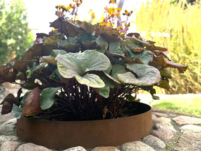 Beeteinfassung aus Cortenstahl von byJEMA nach Maß für Blumenbeet im Garten