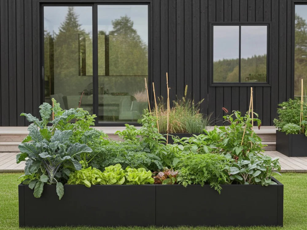 byJEMA CUBY Hochbeet aus schwarz pulverbeschichtetem Stahl mit Gemüse und Kräutern im Garten
