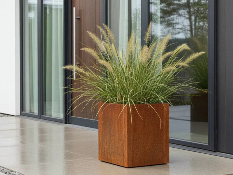 CUBY Pflanzkasten aus Cortenstahl mit Ziergras vor moderner Glasfassade