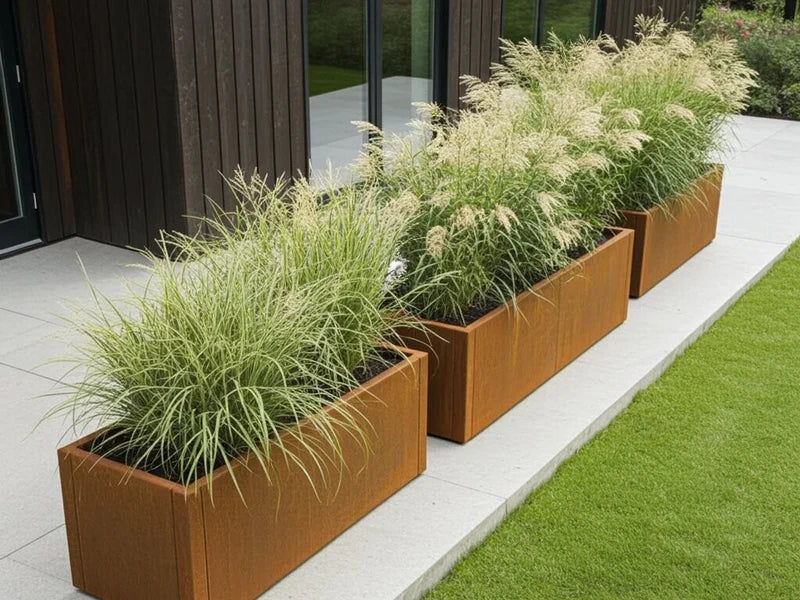 Mehrere CUBY Pflanzkästen aus Cortenstahl mit Ziergras