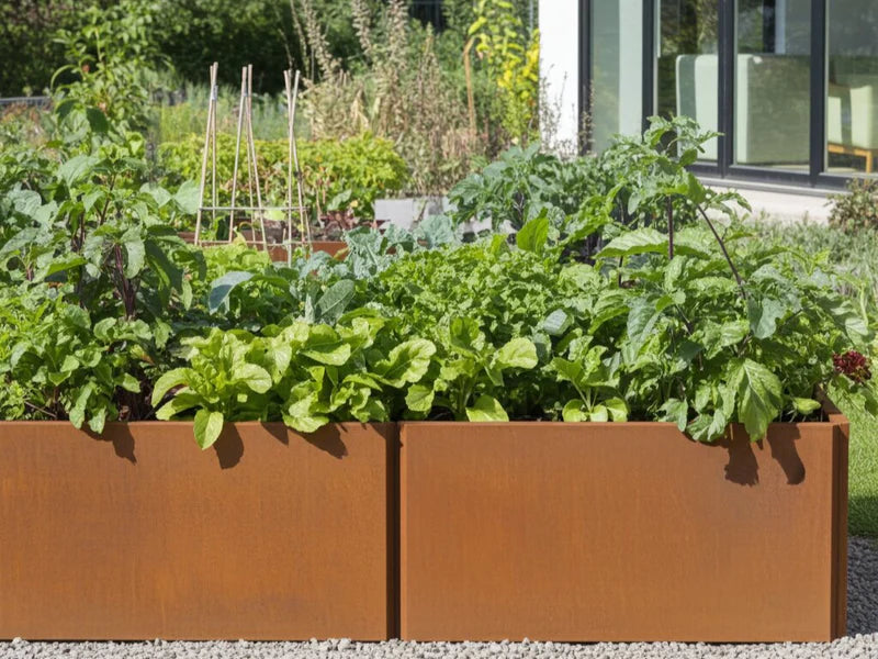 EDGY Pflanzkübel aus Cortenstahl in langer Ausführung mit Salat und Gemüse