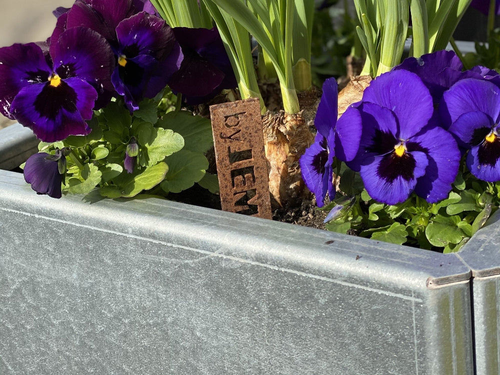 Detailaufnahme eines EDGY Pflanzkübels aus verzinktem Stahl