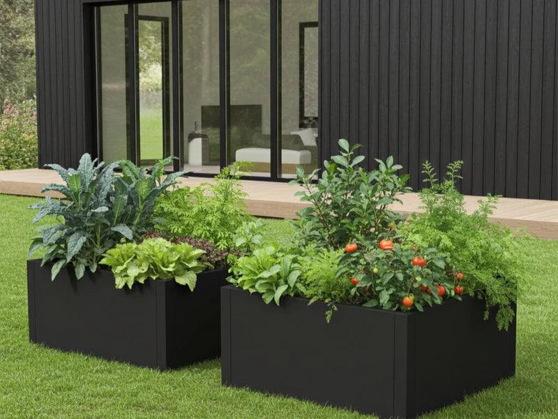 Hochbeete aus schwarzem Stahl mit Tomaten, Salat und Kräutern auf Rasenfläche