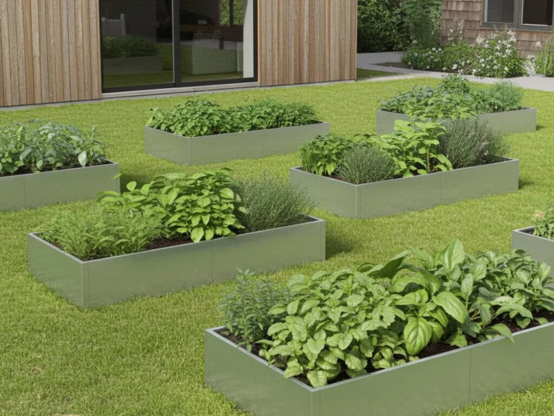 Mehrere Hochbeete aus verzinktem Stahl mit Kräutern und Gemüse auf Rasen im Garten