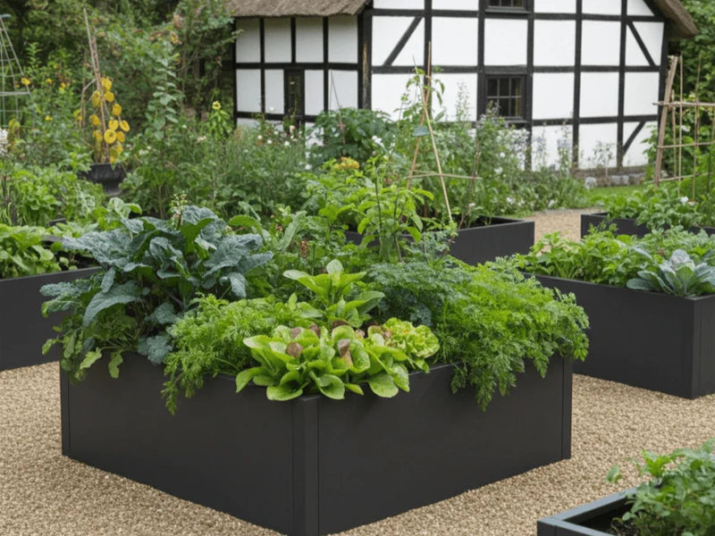 Mehrere Hochbeete aus schwarzem Stahl mit Gemüse im Garten