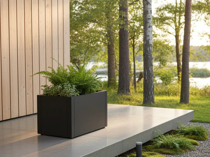 Niedriger Pflanzkasten aus schwarzem Stahl mit Farnen an Terrasse