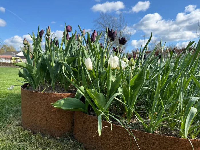Offene Beeteinfassung aus Cortenstahl mit Schraubverbindung für flexible Durchmesser