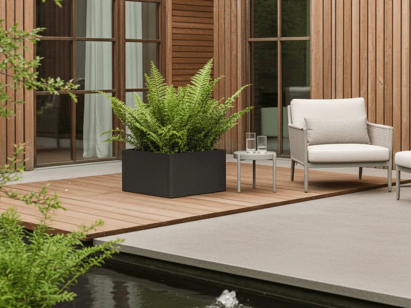 Quadratischer Pflanzkasten aus schwarzem Stahl mit Farnen auf Holzterrasse