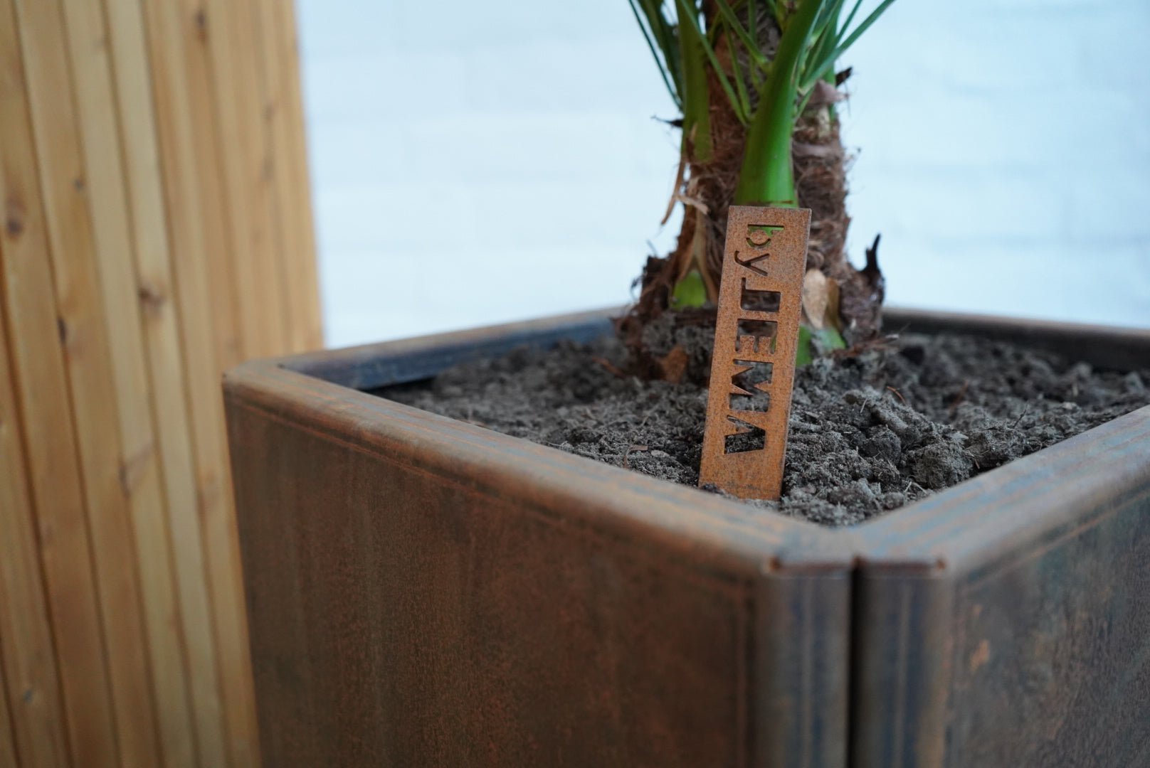 Corten steel planter boxes EDGY