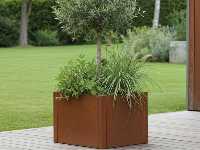 Hochbeet aus Cortenstahl CUBY. B60 x H 40 cm, mehrere Längen