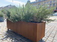 Cortenstål plantekasse CUBY 150 x 40 x 40 cm