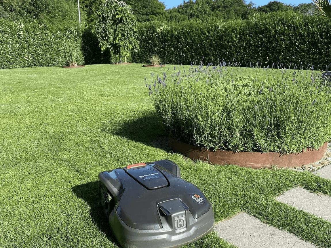 Große runde Beetumrandung aus Cortenstahl mit Lavendel im Rasen – stabile Beeteinfassung in Rostoptik