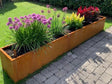 Cortenstahl Pflanzkasten mit Zierlauch und Sommerblumen – byJEMA Hochbeet mit natürlicher Rostpatina
