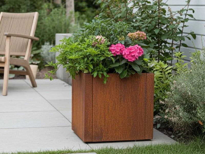 Quadratischer CUBY Pflanzkasten aus Cortenstahl mit Hortensien