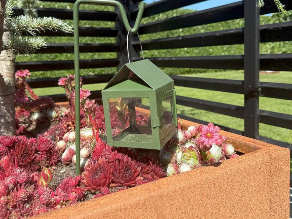Pflanzkasten aus Cortenstahl von CUBY mit Sedum und Gartenlaterne