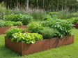 CUBY Hochbeet aus Cortenstahl mit Salat im Gemüsegarten