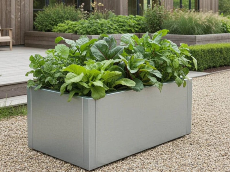 cuby-hochbeet-verzinkter-stahl-salat-gemuesegarten