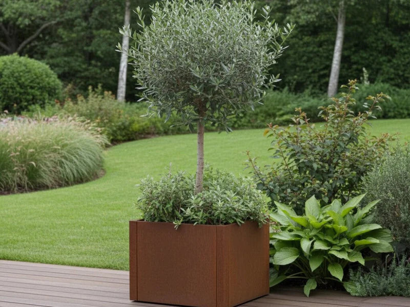 Quadratischer Pflanzkasten aus Cortenstahl von CUBY