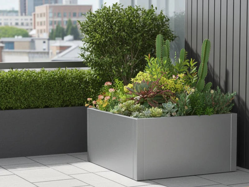 CUBY niedriger quadratischer Pflanzkübel aus verzinktem Stahl mit vielfältiger Bepflanzung auf urbaner Terrasse