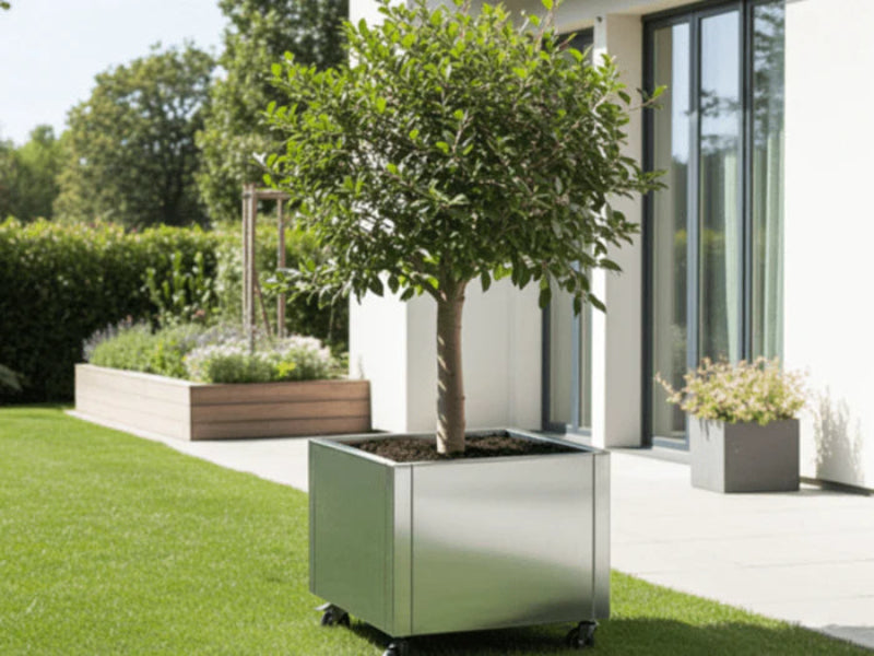 Verzinkter Pflanzkasten von CUBY mit Baum auf Rasenfläche