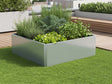 Quadratisches EDGY Hochbeet mit dichter Bepflanzung auf einer Dachterrasse