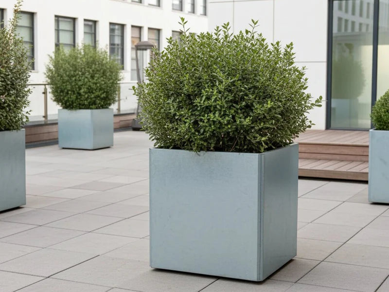 Quadratischer EDGY Pflanzkübel aus verzinktem Stahl auf einer Dachterrasse