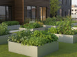 Hochbeet aus verzinktem Stahl mit Gemüse und Blumen im Garten bei modernem Neubau