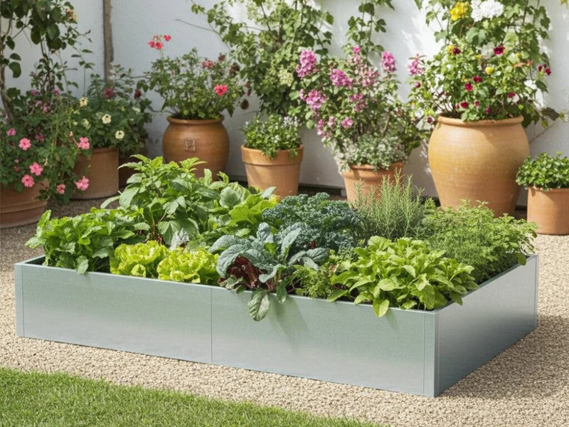 Hochbeet aus verzinktem Stahl mit Gemüse und Kräutern im Innenhofgarten mit Blumentöpfen