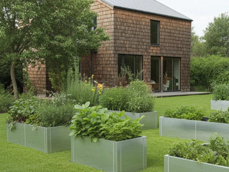 Hochbeete aus verzinktem Stahl mit Gemüse und Kräutern im modernen Garten bei Holzhaus