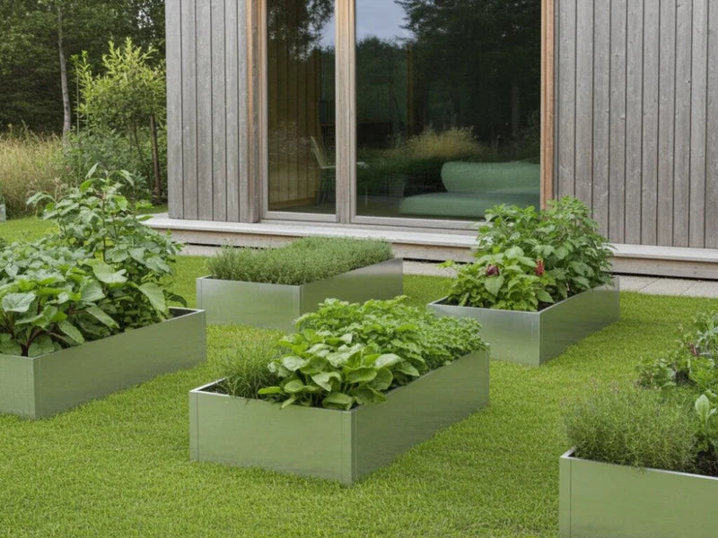 Mehrere Hochbeete aus verzinktem Stahl mit Kräutern und Gemüse im Garten