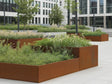 Stützmauer und Pflanzbeete aus Cortenstahl mit Ziergräsern im Innenhof